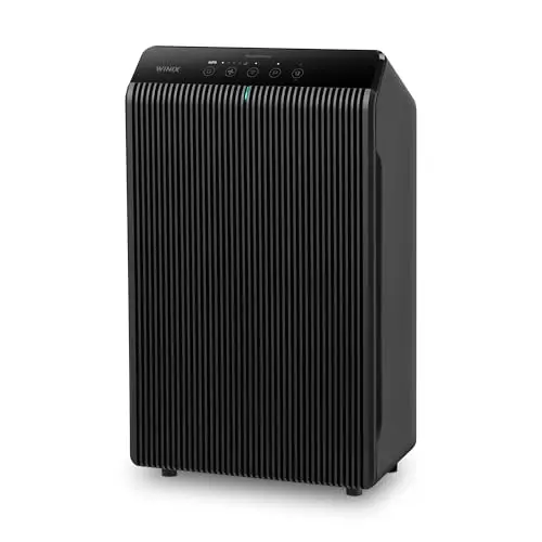 WINIX 5510 charcoal gray air purifier in a living room